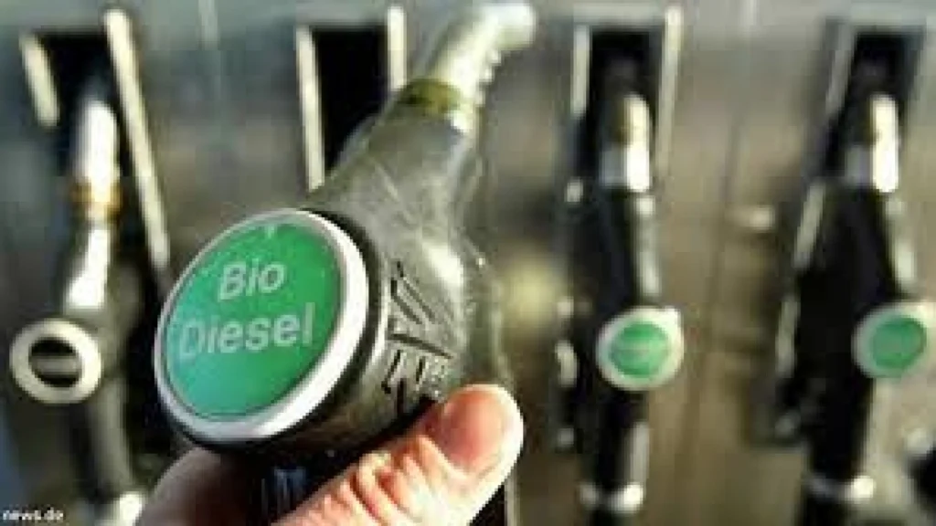 Kementerian ESDM Siapkan Implementasi B50 dan Pembangunan Pabrik Biodiesel di Merauke